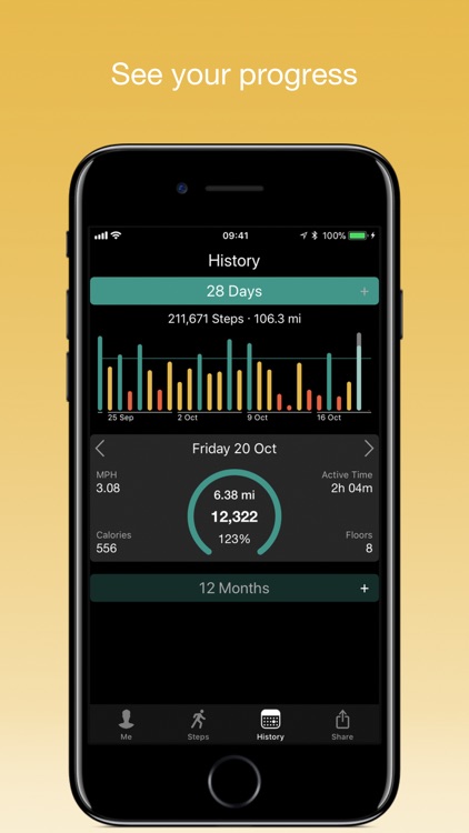 Stepwise Pedometer