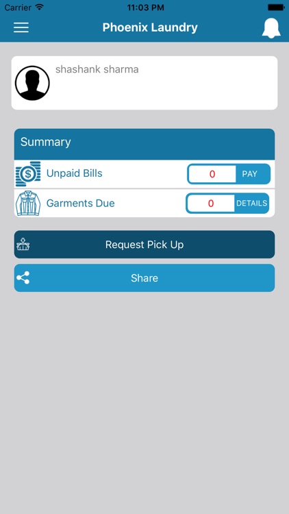 Phoenix Laundry screenshot-4