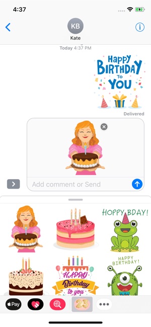 Birthday Funny Wishes Stickers