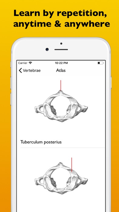 Appshopper Com All New Apps Version Changes And Price Changes For Universal Apps For Ios Page 4327 Chan 5931678 Rssing Com - robloxcritical filter is filtering everything engine bugs