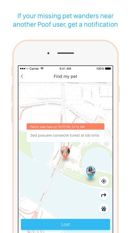 Poof Pet Activity Tracker