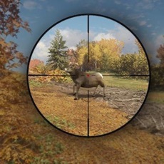 Activities of Forest Animal Shooting Sim