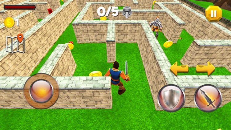 Adventure in Maze