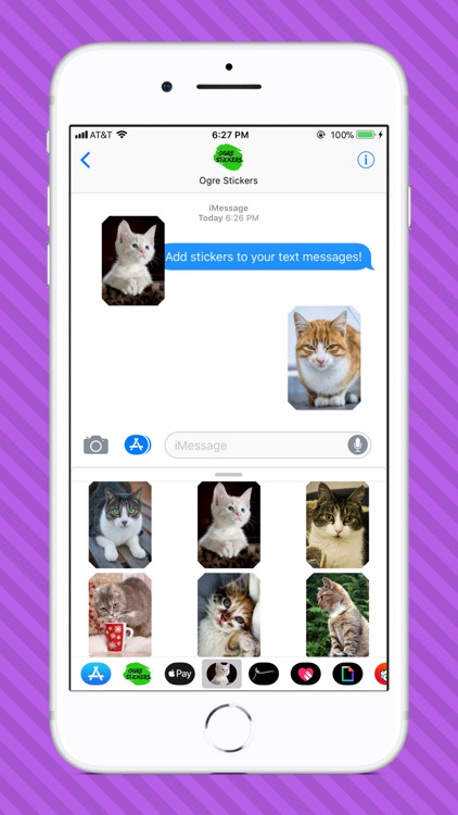 Cat Photo Stickers