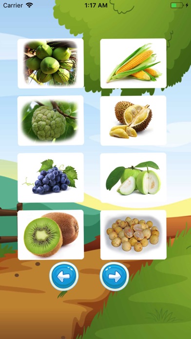 Fruit English Vocabulary Sound screenshot 3