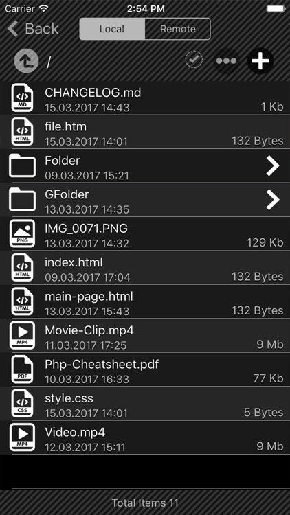 FTP Plus