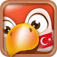 Contacter Apprendre le turc | Traducteur