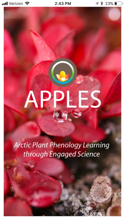 APPLES: Arctic Plant Phenology