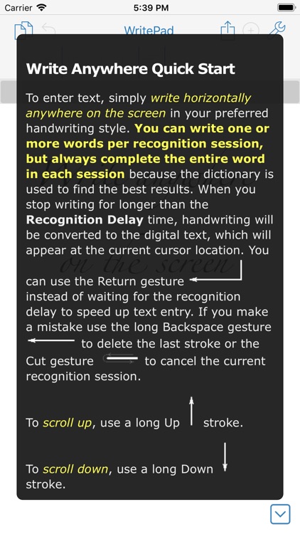 WritePad Professional screenshot-9