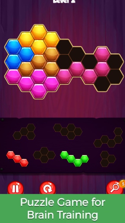 Hexagon Puzzle Challenge