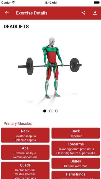 MuscleMatics screenshot-3