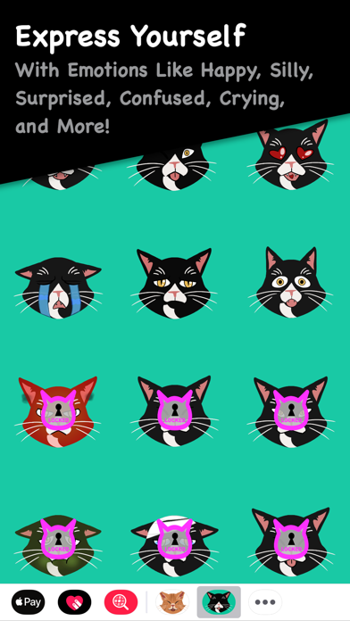Flash Cat screenshot 2