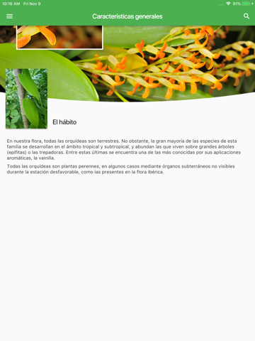 Orquídeas Ibéricas screenshot 2