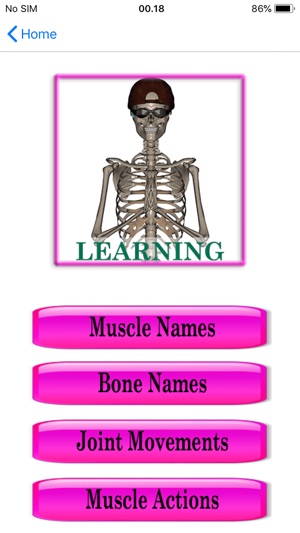 Stus Anatomy Flashcards(圖2)-速報App