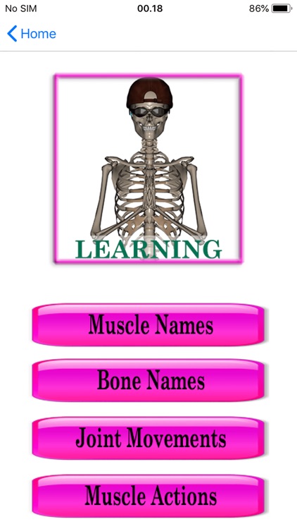 Stus Anatomy Flashcards