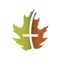Welcome to the official Westminster PCA Greenwood, MS application