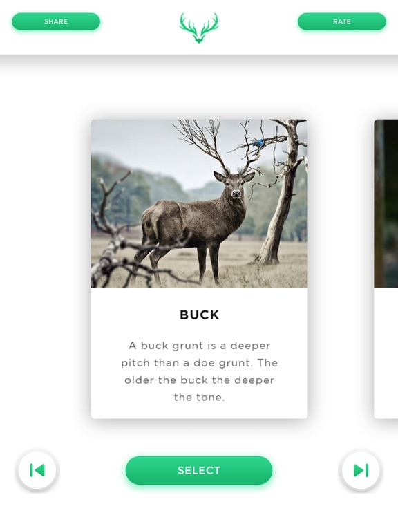 Deer Calls screenshot 6