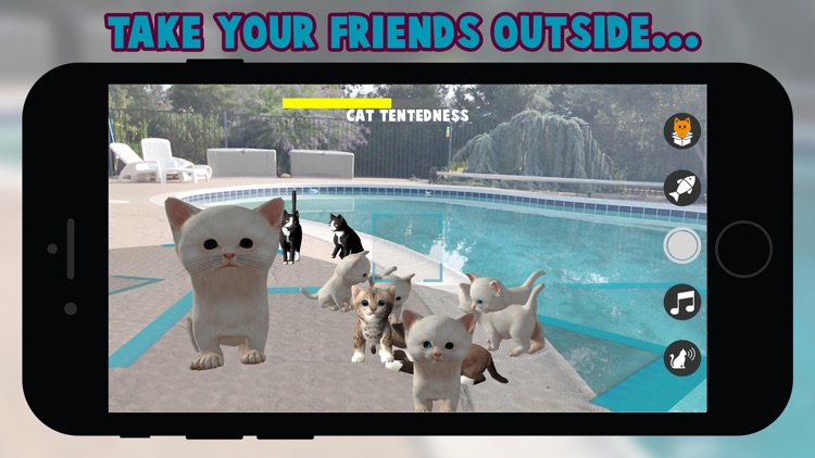 Cattery
