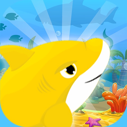 Baby Shark Adventure