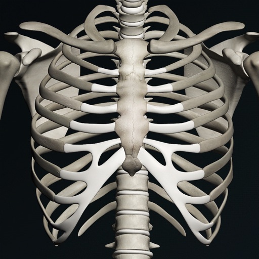 Bones 3D (Anatomy) iOS App