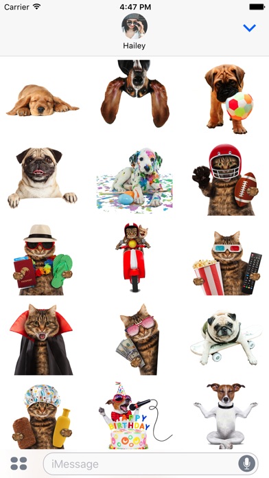 World Animal Day - Stickers screenshot 2