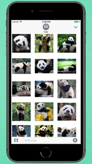 Funny Lazy Panda Stickers(圖1)-速報App