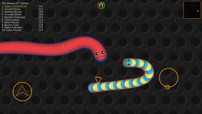 WormsZone.io - Hungry Snake screenshot 2