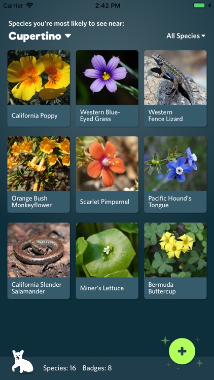 Seek by iNaturalist screenshot-0
