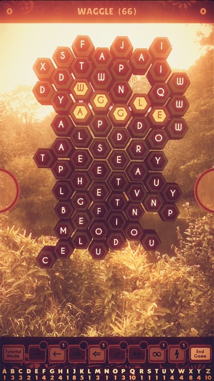Waggle Words