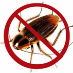 Ultrasound Cockroach Repellent