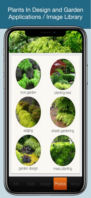 Plant Catalogue(圖5)-速報App