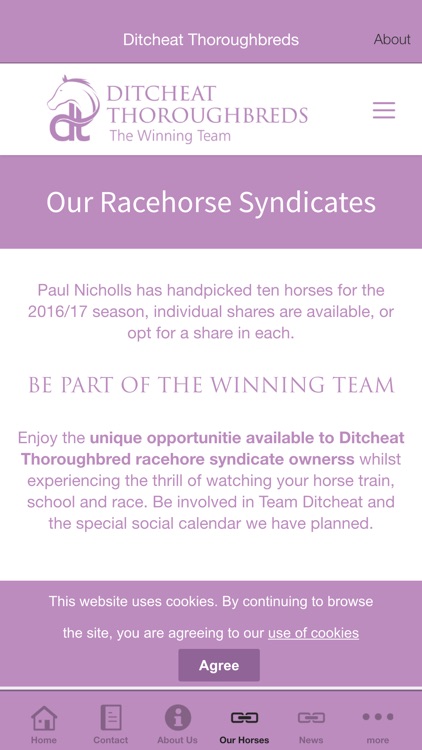 Ditcheat Thoroughbreds