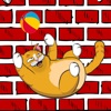 Kitty Cat Funny Game