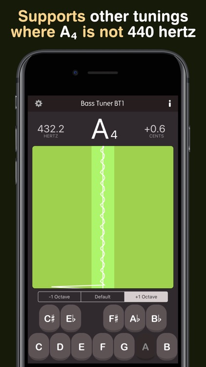 Bass Tuner BT1 screenshot-5