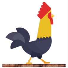 Activities of Bridge Runner