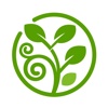 微景观-苔藓生态瓶,多肉植物,食虫植物