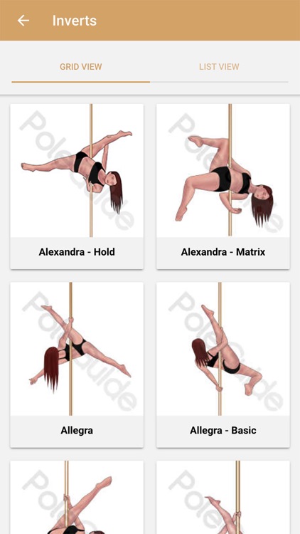 Pole Guide