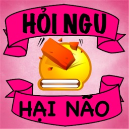 Hỏi ngu - Hại não đố vui