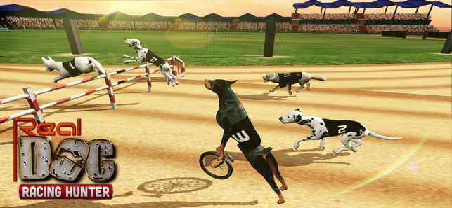 Real Dogs Racing Bunny Hunter(圖7)-速報App