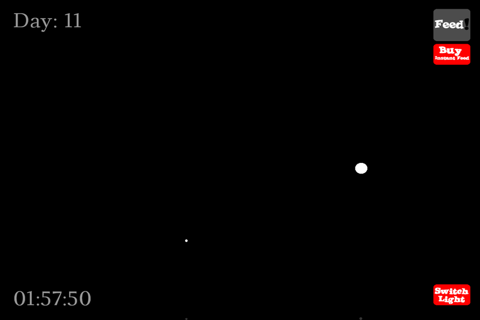 myFlea - náhled