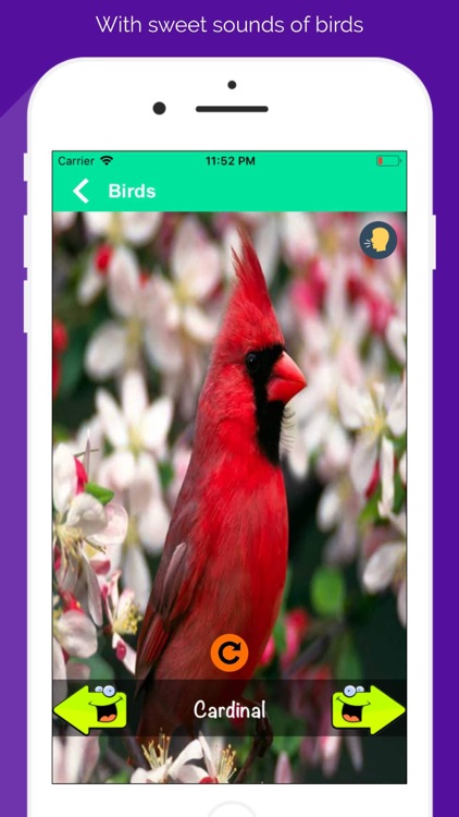 150+ Animal Sounds Lite screenshot-4