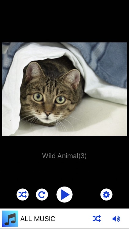 Simple Photo Slideshow