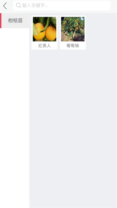 中国柑桔苗平台 screenshot 3