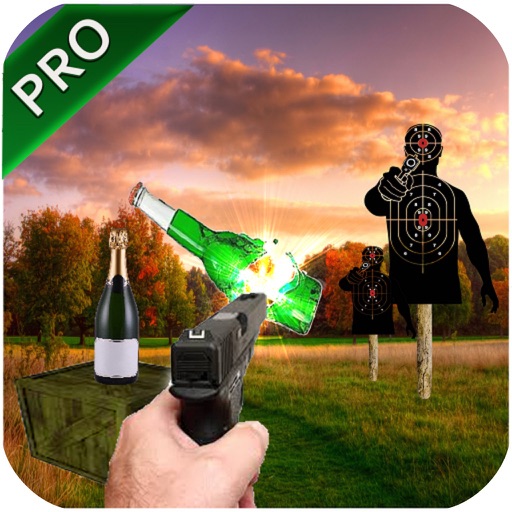 US Expert Bottle Shooter 3D icon