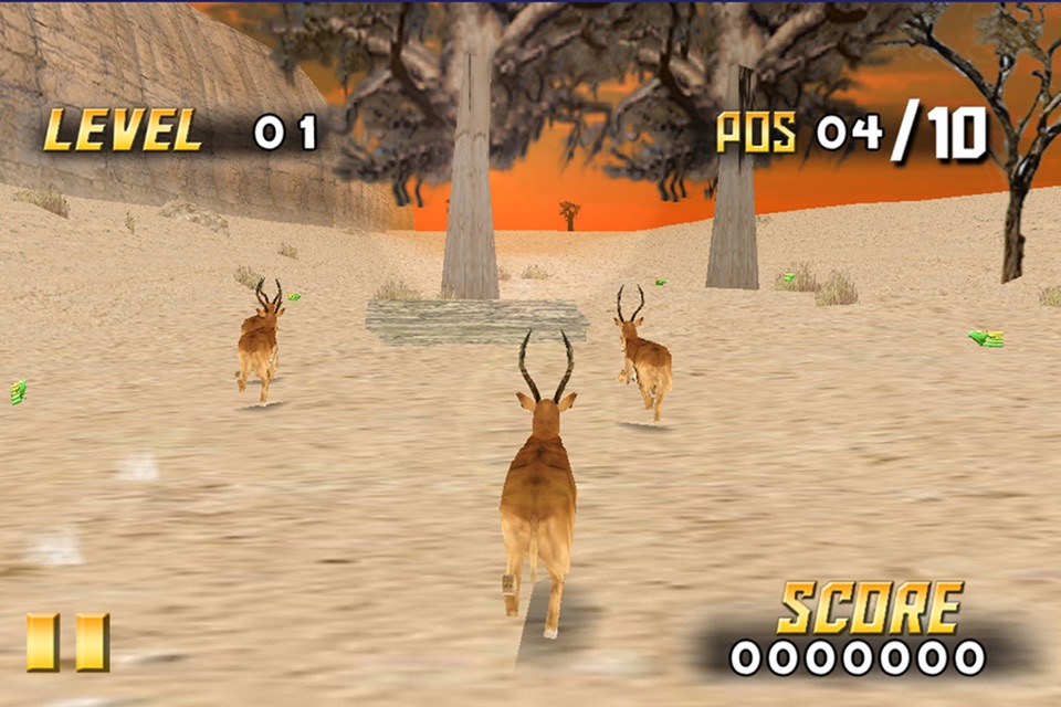 Savanna Race screenshot 3