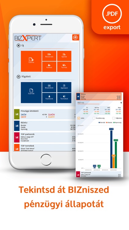 BizXpert - Számlázó screenshot-3