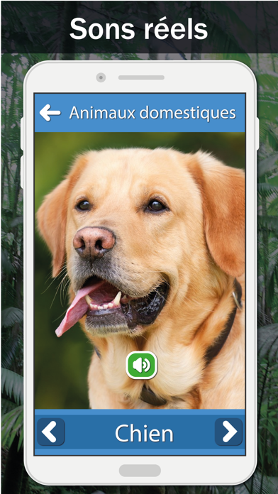 Screenshot #2 pour Sons d'animaux: Étude et jouer