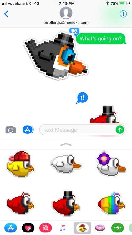 The Pixel Birds