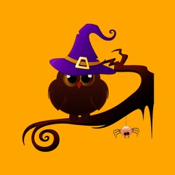 Halloween Bird Cat