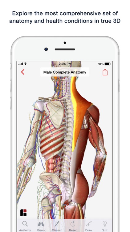BioDigital Human 2019 screenshot-0